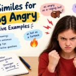 similes-for-being-angry